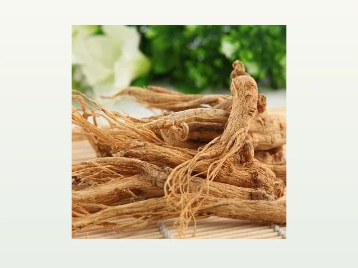 American Ginseng Extract