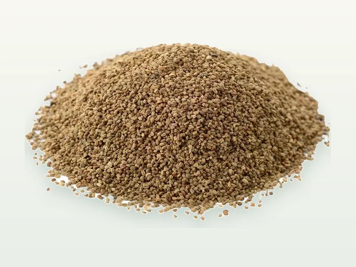 Celery Seed Extract