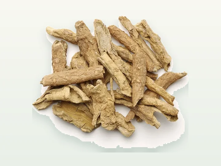 Atractylodes lancea Extract