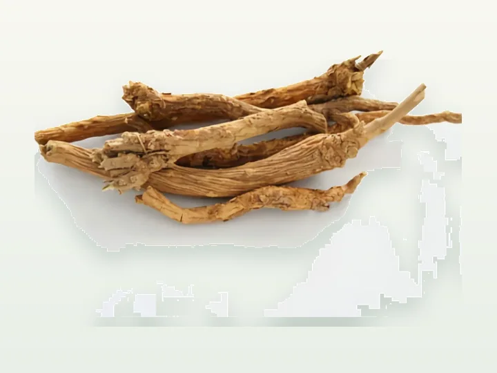 Baikal skullcap Extract