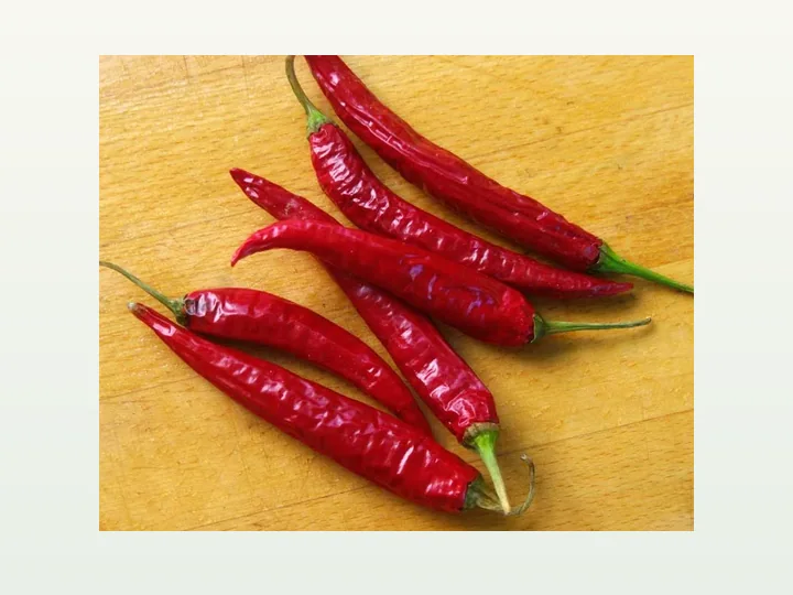 Capsicum Extract