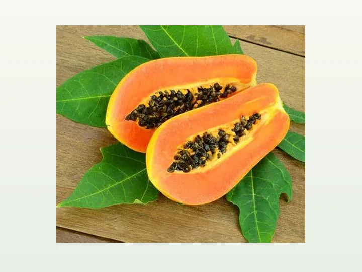 Papaya Extract