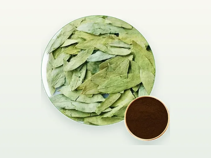 Senna Leaf Extract