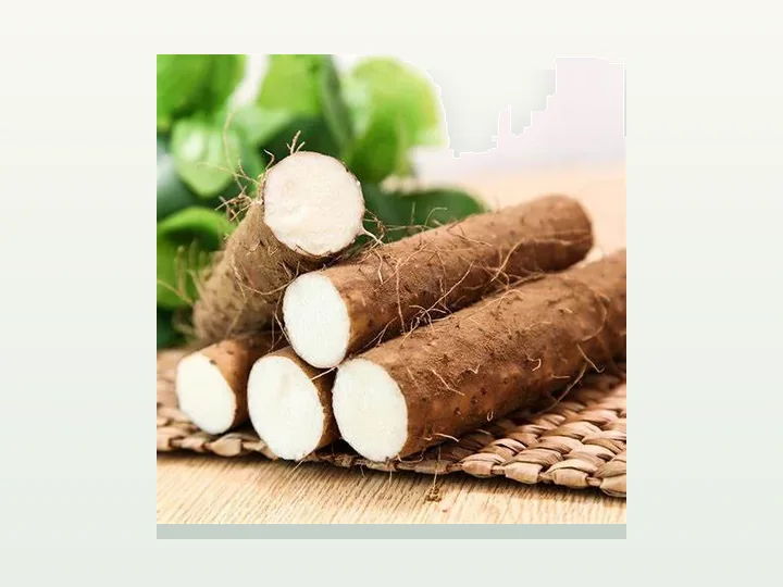 Wild Yam Extract