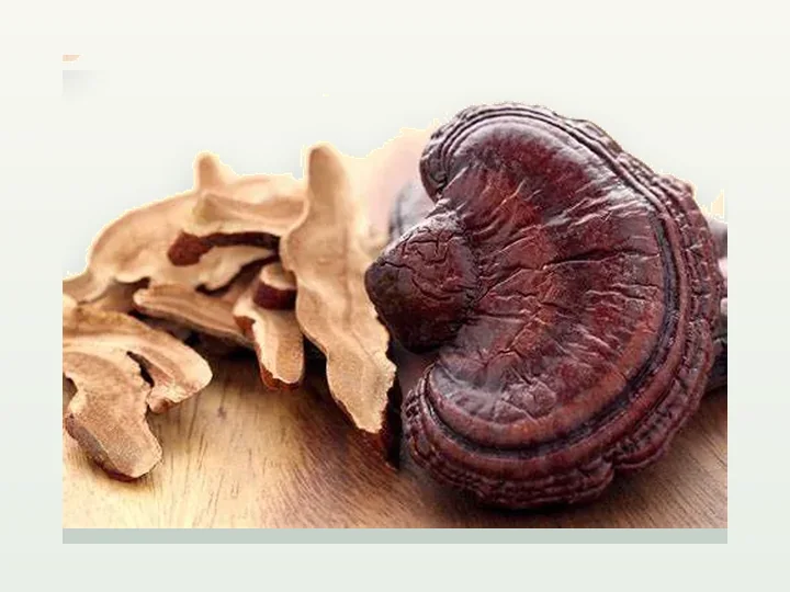 Ganoderma lucidum Extract
