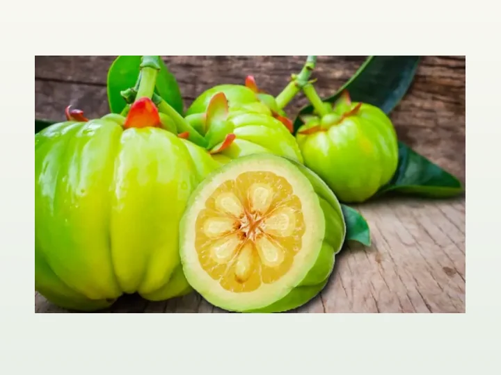 Garcinia Cambogia Pulver Extrakt
