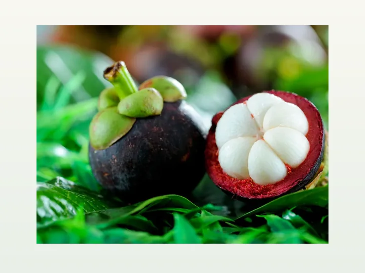 Mangosteen Extract