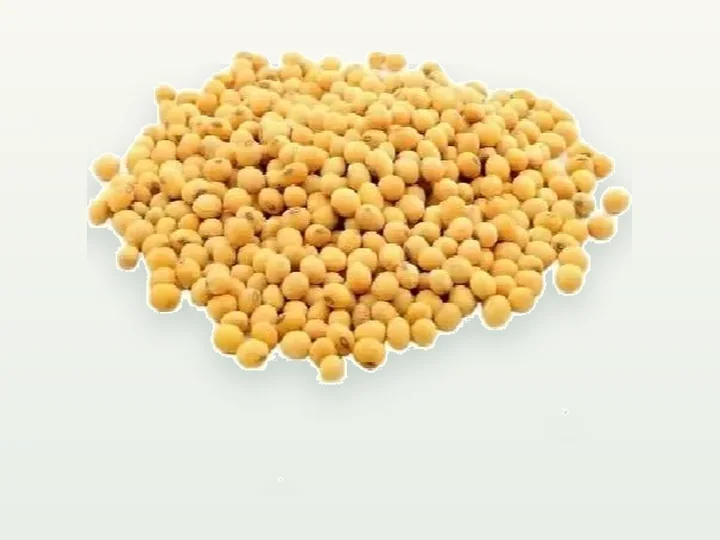 Soybean Extract