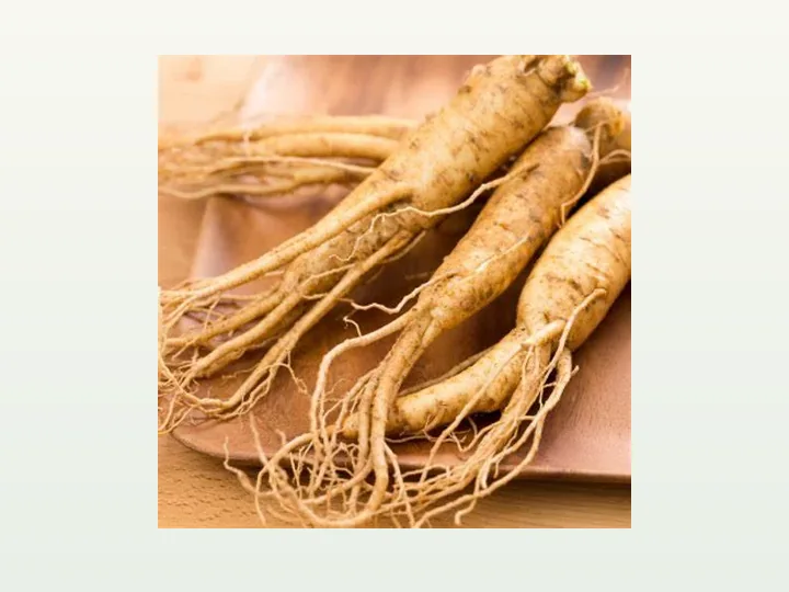 Ginseng Panax Extract