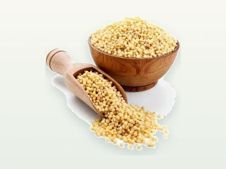 Goldhirse Powder Extract