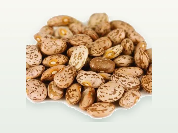 White Kidney Bean Extract
