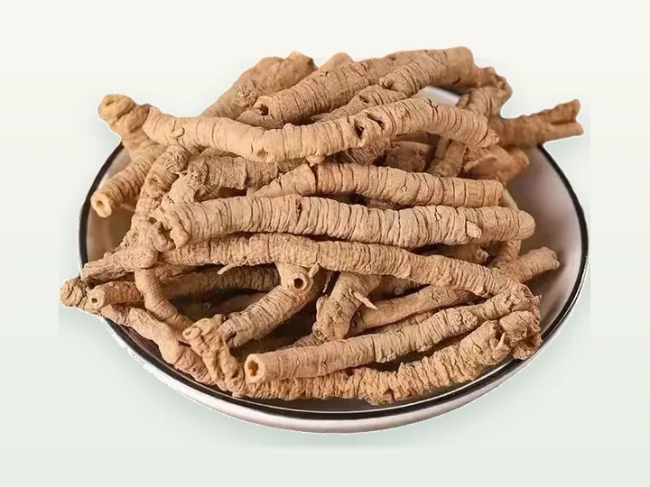 Senega Powder Extract