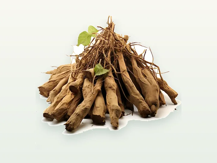 Kudzu Pueraria Root Extract