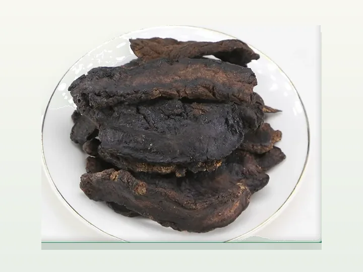 Rehmannia Extract
