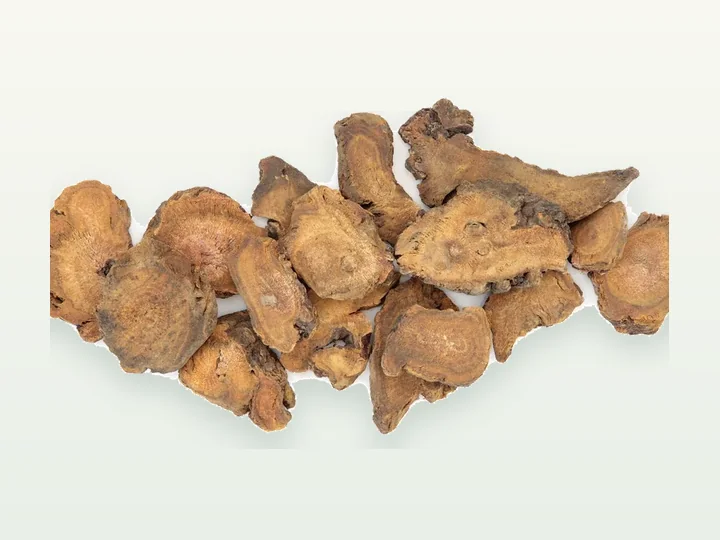 Rheum Extract