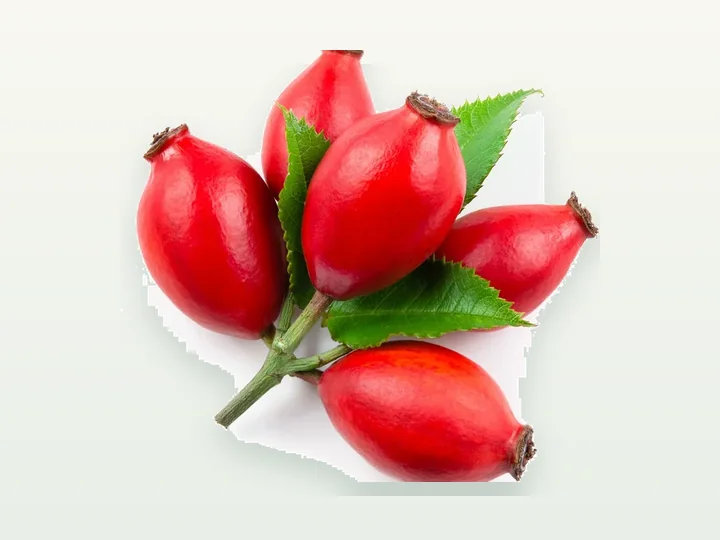 Rosehip Fruit Extract