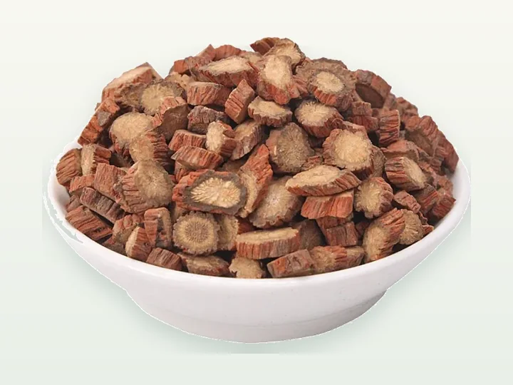 Salvia Miltiorrhiza Extract