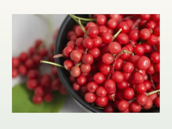 Schisandra Chinensis Extract