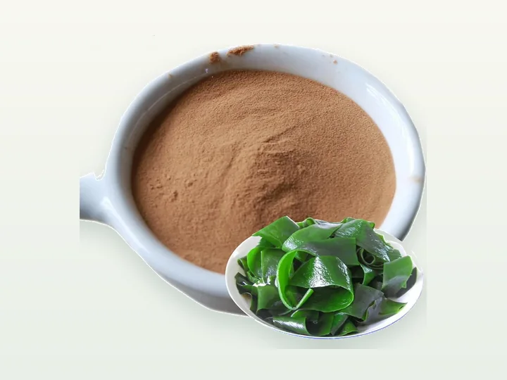 Seaweed Extract Food Grade