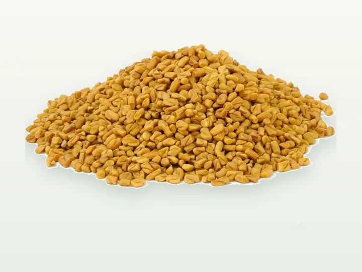 Fenugreek Seed Extract (Trigonella Foenum Graecum)
