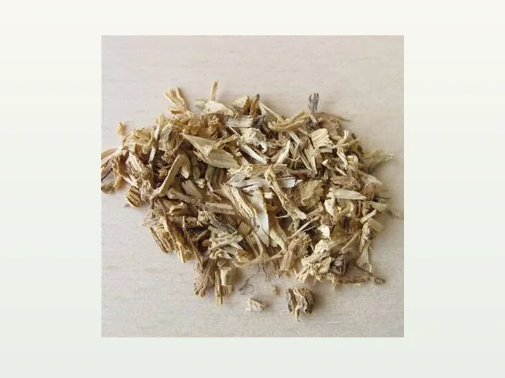 Nettle Extract (Urtica dioica)