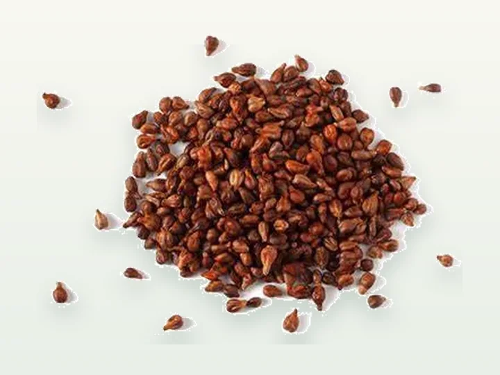 Grape Seed Extract