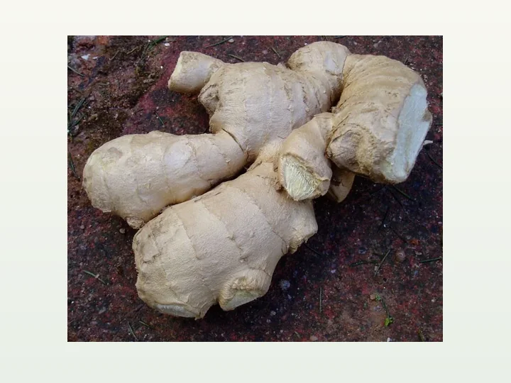 Ginger Powder Extract