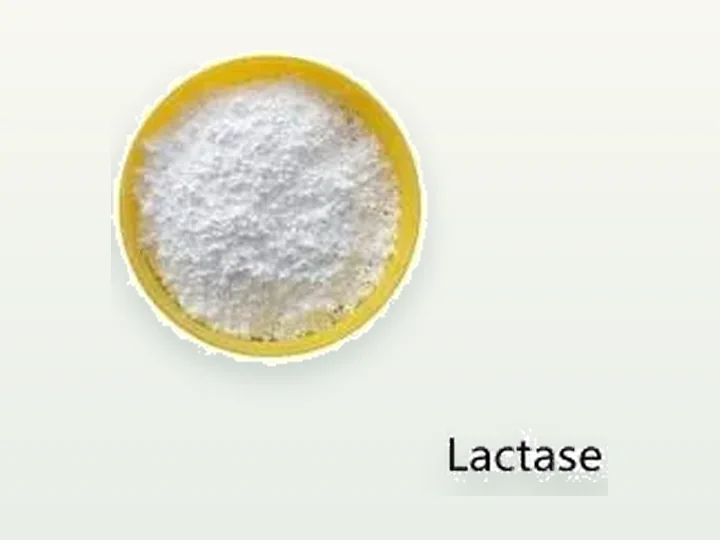 Acid lactase