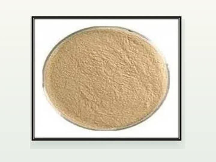 Acid Protease