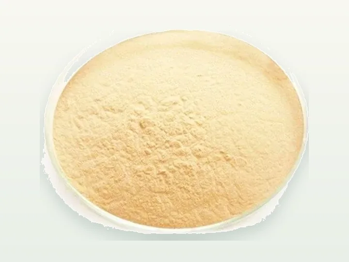Amylase