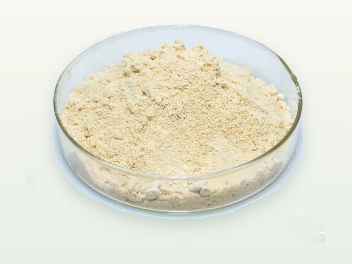Essbare Pilzhydrolase
