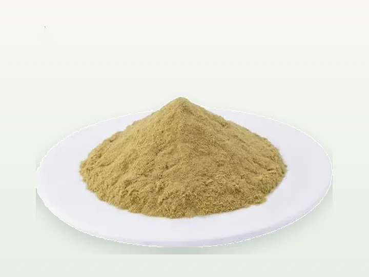 Serrapeptase