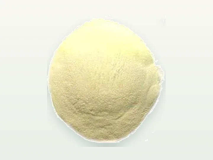 Xylanase