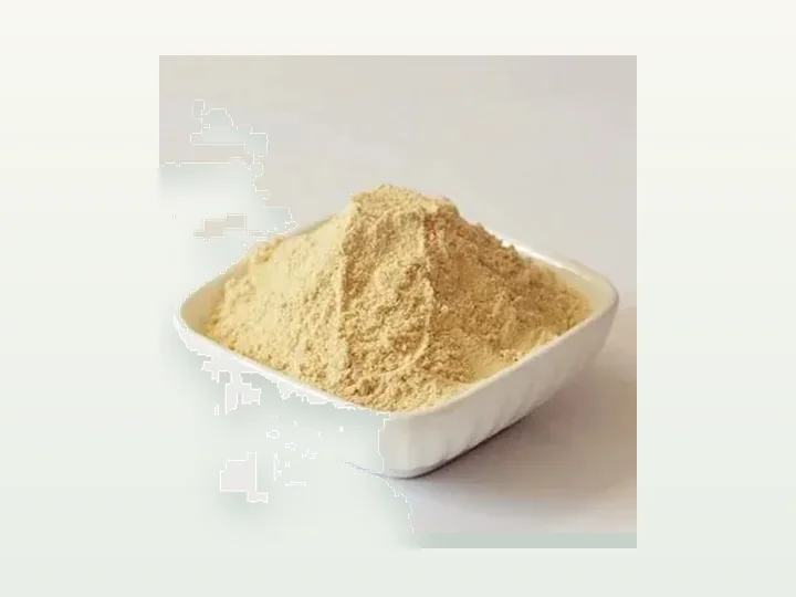 Apple Juice Powder