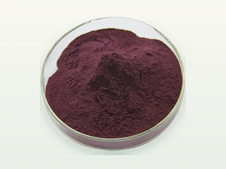 Blackberry Juice Powder