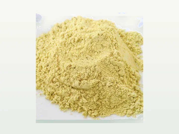 Ginger Juice Powder