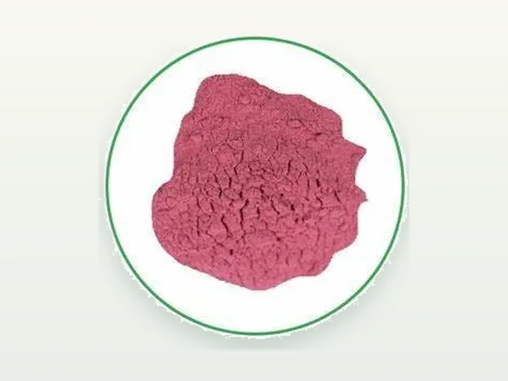 Grape Juice Powder