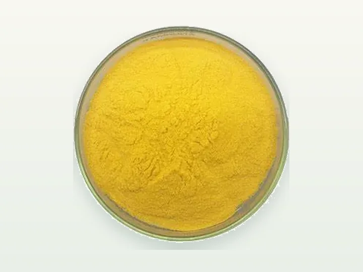 Mango Juice Powder