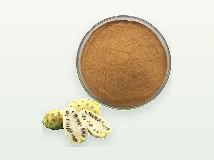 Noni Juice Powder