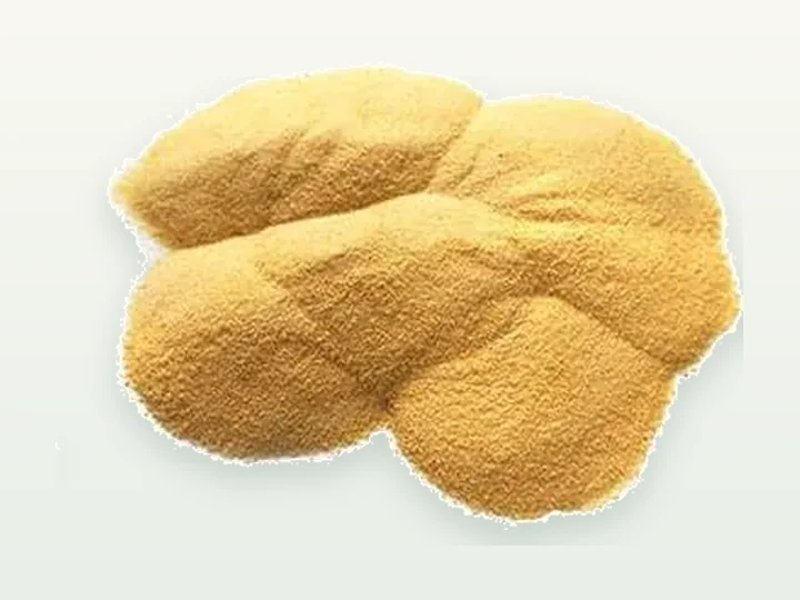 Orange Juice Powder