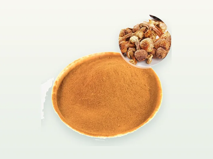 Agaricus Blazei Murill Powder / Extract