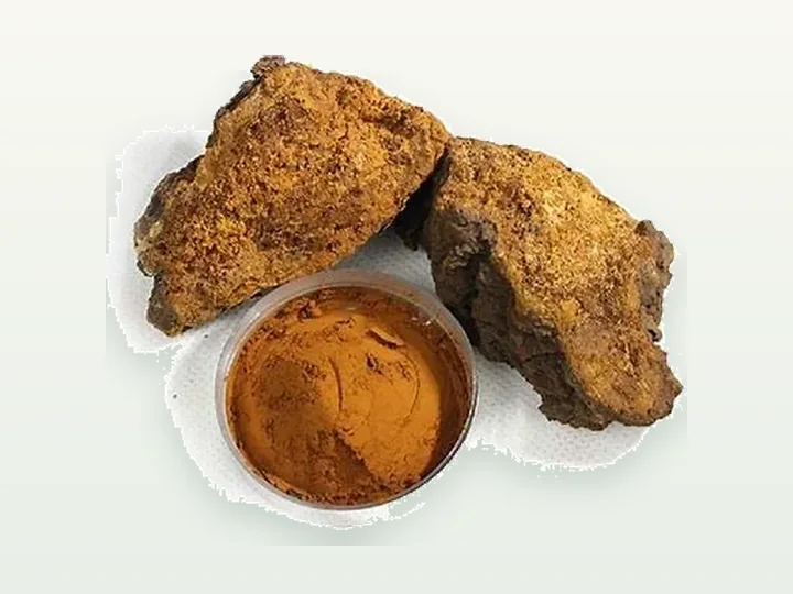Chaga Powder / Extract