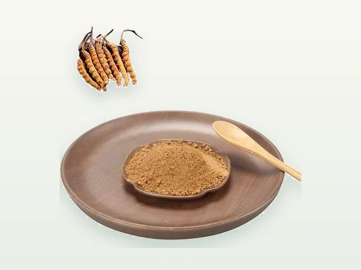 Cordyceps Powder / Extract / Granule