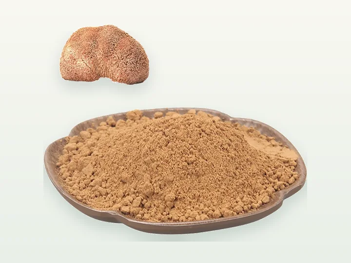 Hericium Erinaceus Powder / Extract