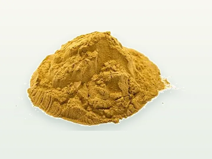 Maitake Powder / Extract