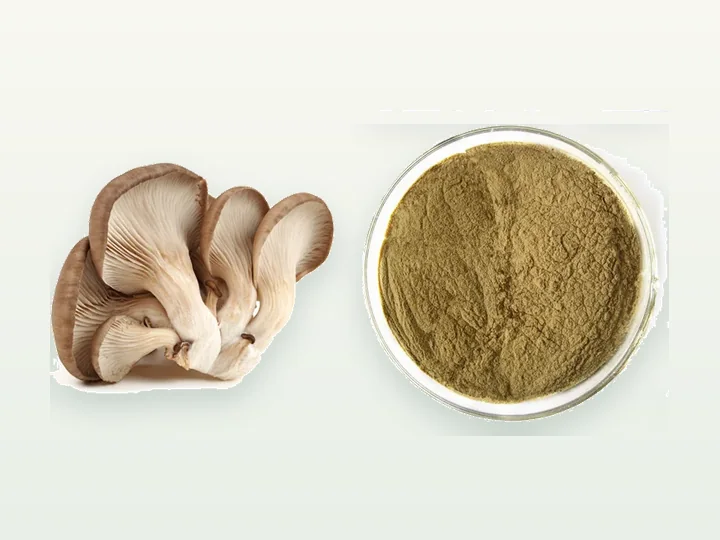 Oyster Mushroom Powder / Extract