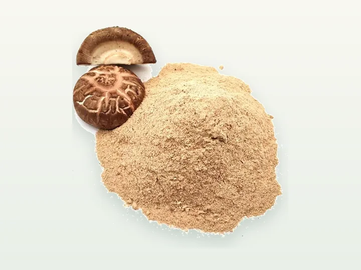 Shiitake Powder / Extract